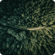 GreenHearts